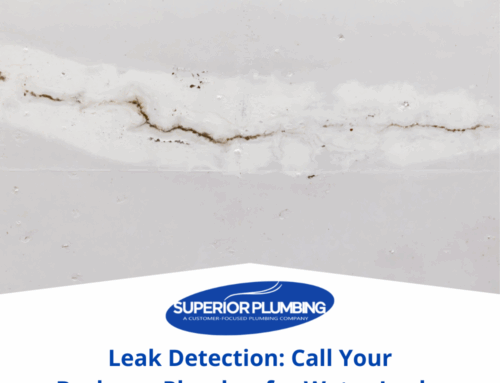 Leak Detection: Call Your Burleson Plumber for Water Leaks