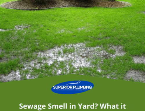 Sewage Smell in Yard: What it Means and What to Do