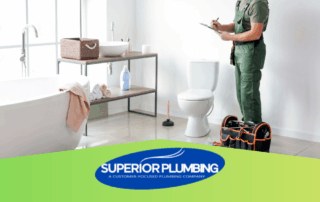 toilet not flushing