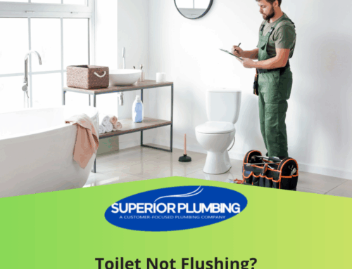 Toilet Not Flushing Right? Signs You Need Repair or Replacement