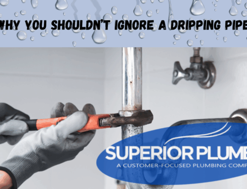 Why You Shouldn’t Ignore a Dripping Pipe
