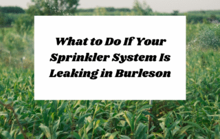 What to Do If Your Sprinkler System Is Leaking in Burleson