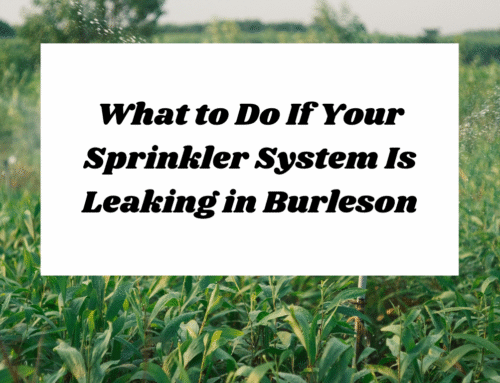 What to Do If Your Sprinkler System Is Leaking in Burleson