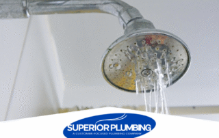 How to Fix a Leaky Shower Head in Burleson Homes