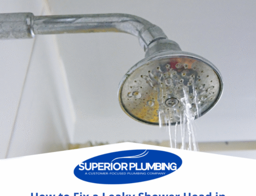 How to Fix a Leaky Shower Head in Burleson Homes