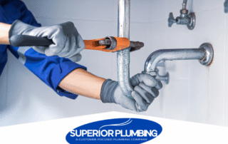 What Causes Drain Flies in Burleson Homes and How to Get Rid of Them